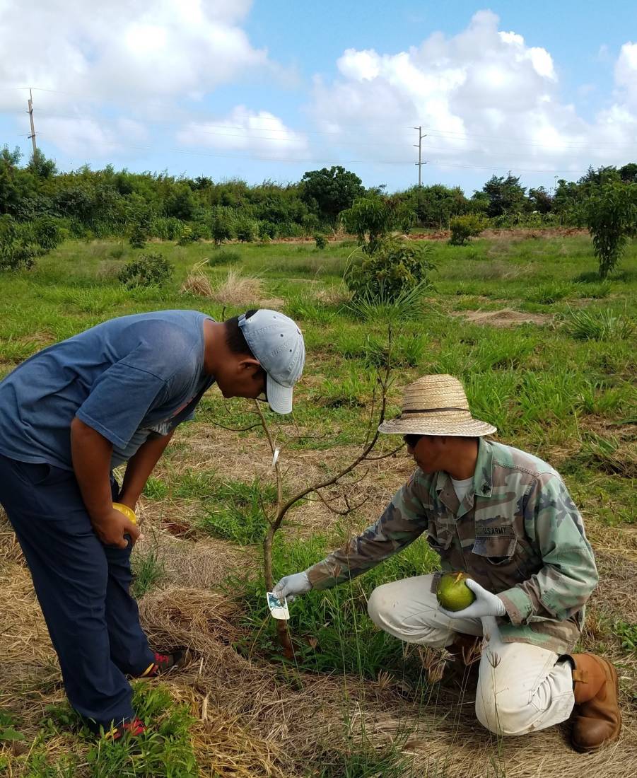 USDA imigrant farmers – file photo